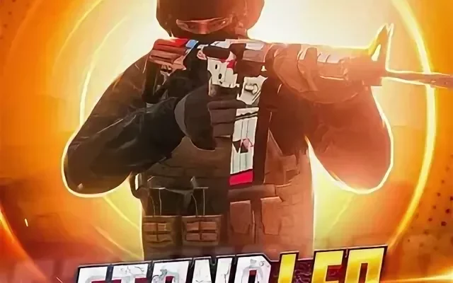 Приватка StandLeo 2.4