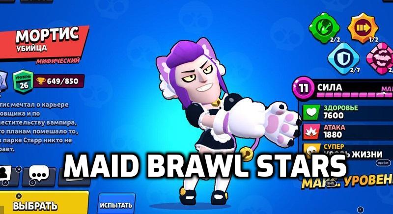 Приватка Maid Brawl 57.372